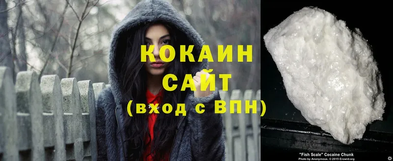 Cocaine Эквадор  omg зеркало  Дубовка 